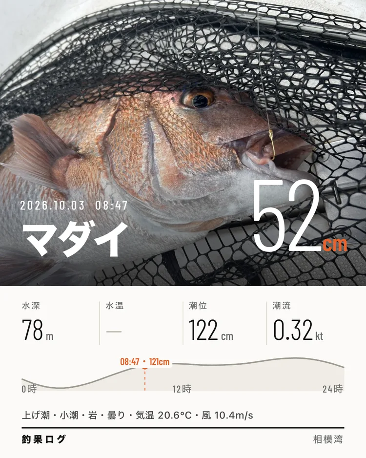 シェア画像（ポスター）。マダイ 52cm