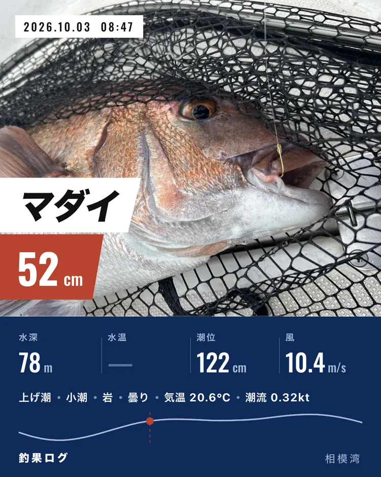 シェア画像（テロップ）。マダイ 52cm